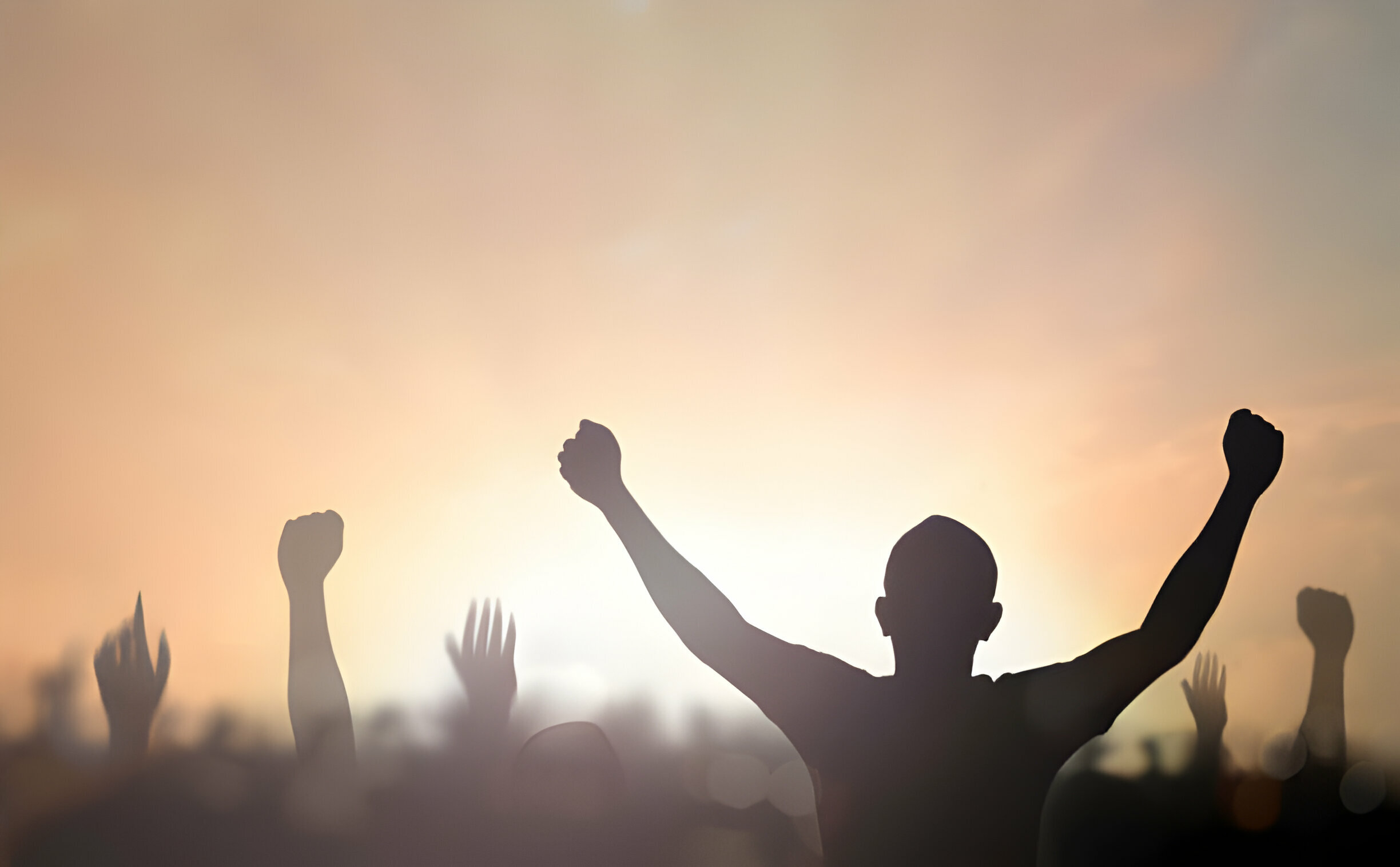 Dankbarkeitsrevolution: Freude und Verbindung finden in einer Welt besessen von Perfektion Dankbarkeitsrevolution: Freude und Verbindung finden in einer Welt besessen von Perfektion